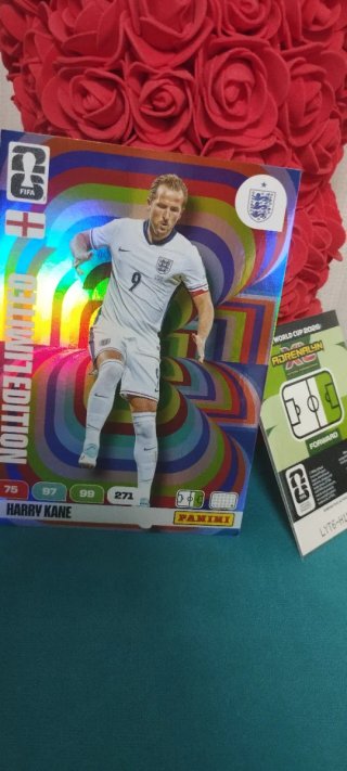 Cartas Adrenalyn XXL Mundial