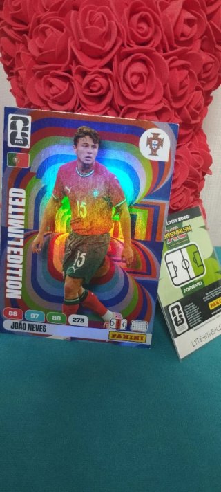 Cartas Adrenalyn XXL Mundial