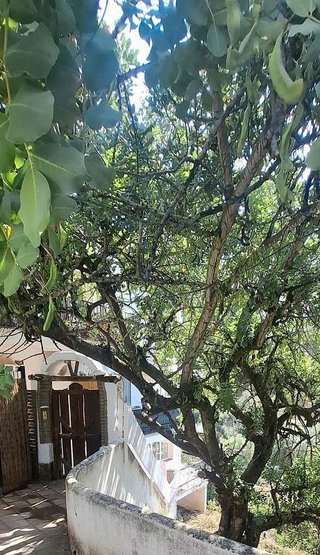 Piso en venta en Istán