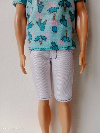 Muñeco Ken Rubio Camiseta Cactus