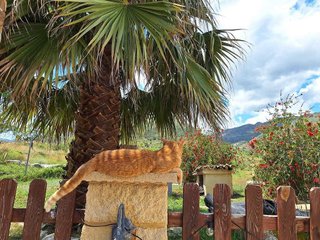 Chalet en venta en Relleu