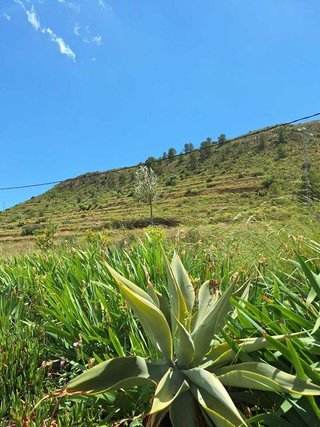 Chalet en venta en Relleu