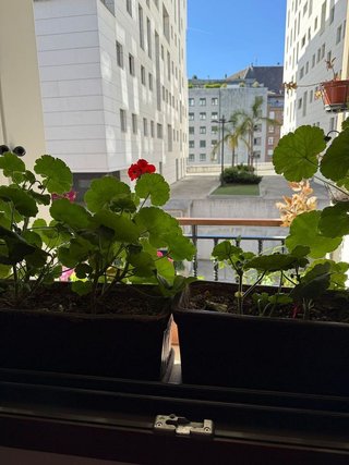 Piso en venta en Zona Teatro Campoamor en Oviedo