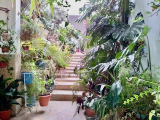 Casa adosada en venta en Guancha (La)