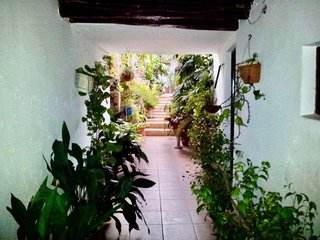 Casa adosada en venta en Guancha (La)