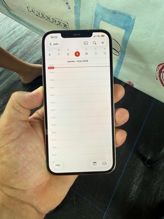 iPhone 12 Pro Max Plata