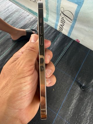 iPhone 12 Pro Max Plata
