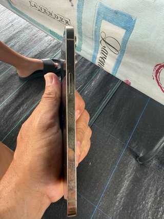 iPhone 12 Pro Max Plata