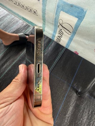 iPhone 12 Pro Max Plata
