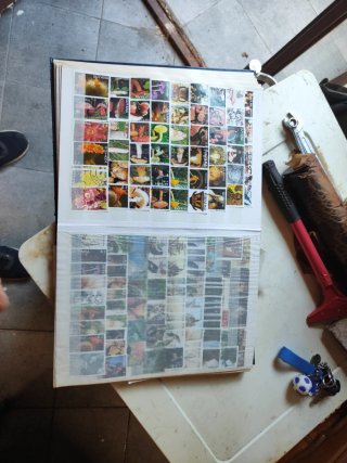 Album francobolli blu