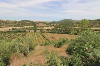 Chalet en venta en Puerto Serrano