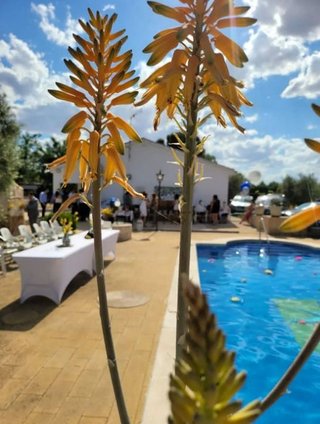 Chalet en venta en La Poblachuela en Ciudad Real