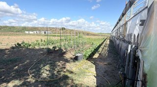 Casa rural en venta en Zona la Ribera - Alqueria - Río en Huelva