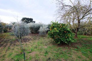 Casa rural en venta en Montijo