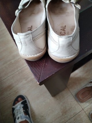 Bailarinas Chacal Beige Talla 36/37