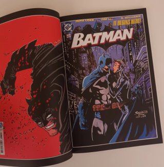 Salvador Molina Art Book. Especial Blank covers