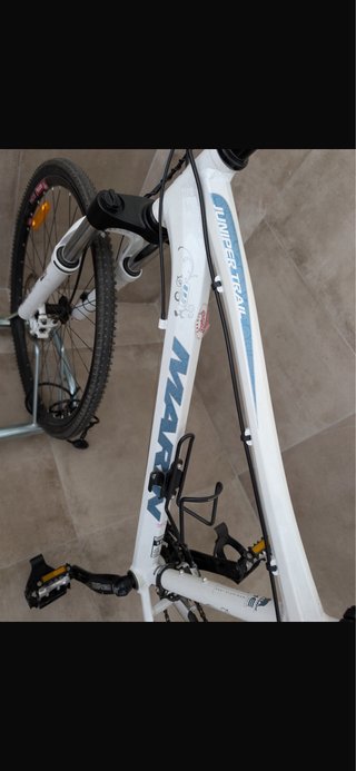 Bicicleta Marin para adulto