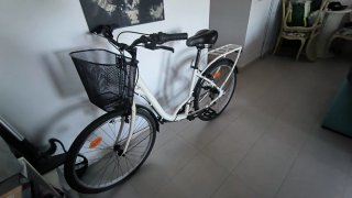 Bicicleta Urbana Paseo