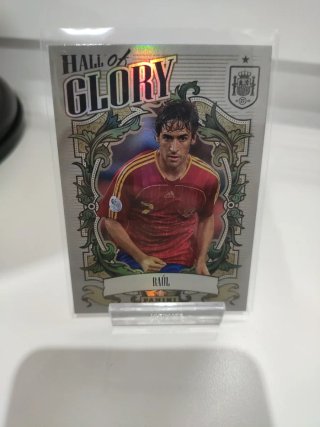 Raúl Hall of Glory Panini Tributo