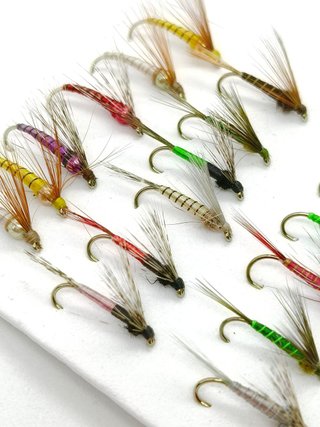 24 Moscas Leonesas Saltonas Pesca