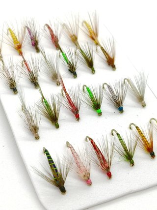 24 Moscas Leonesas Saltonas Pesca