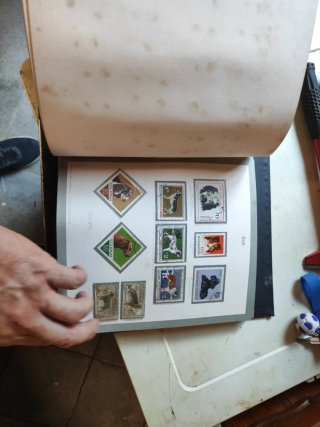 Volume Francobolli 303