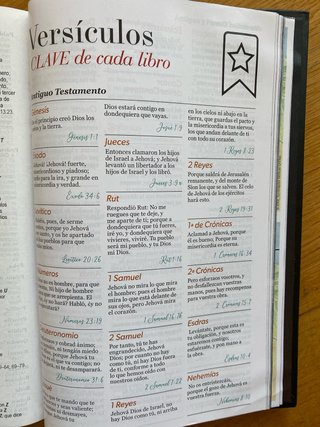 Biblia RVR 1960 letra grande