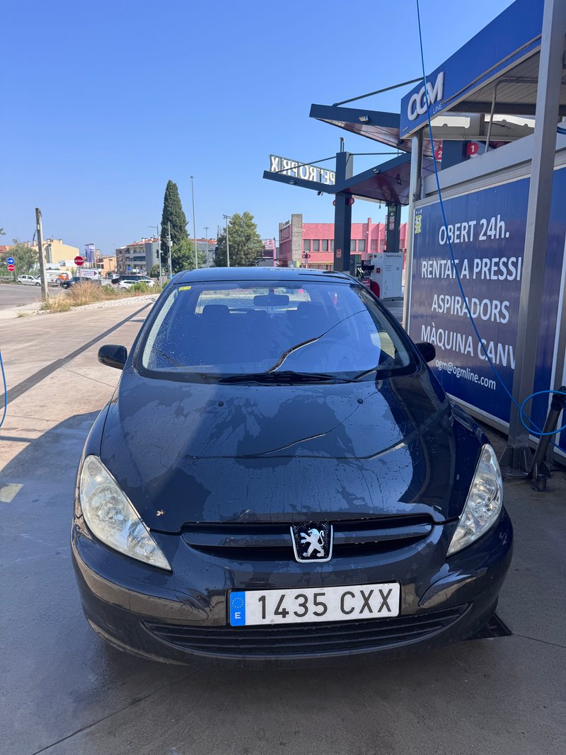 Peugeot 307 2004 - foto 1