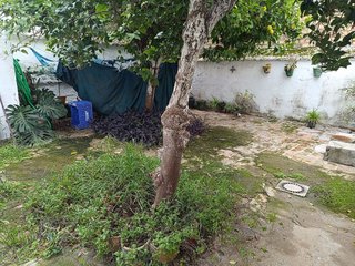 Casa adosada en venta en Brenes