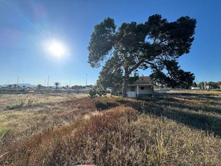 Chalet en venta en Ciutat Universitària en Elche