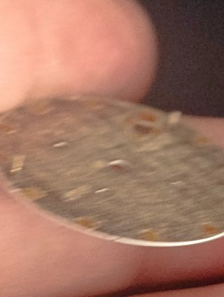 Esfera de reloj Citizen vintage