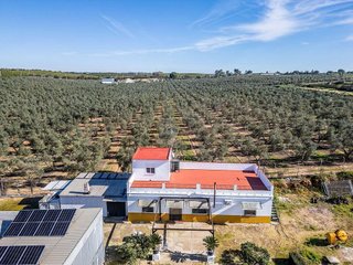 Casa rural en venta en Nueva Alcalá en Alcalá de Guadaira