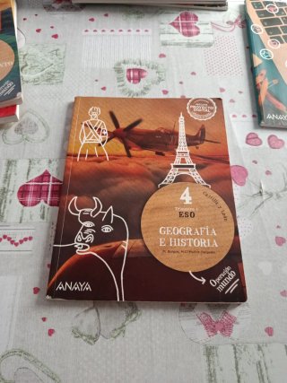 Lote de libros 4 eso