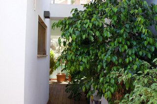 Casa adosada en venta en Mestral en Reus