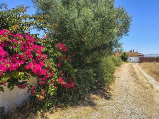 Chalet en venta en Conil en Conil de la Frontera