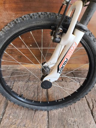 Rueda delantera bici 20 Freerider