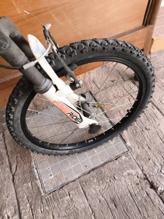 Rueda delantera bici 20 Freerider