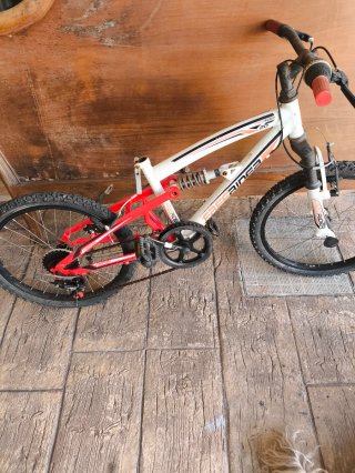 Bicicleta 20 Freerider