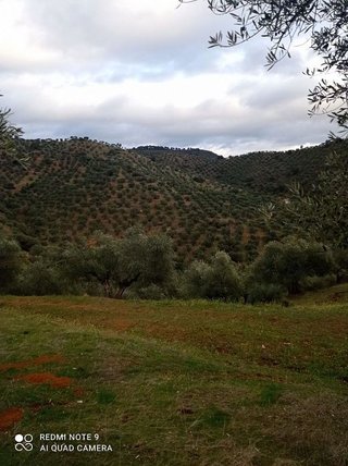 Casa rural en venta en Villanueva de Córdoba