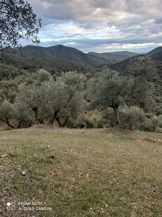 Casa rural en venta en Villanueva de Córdoba