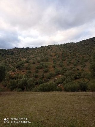 Casa rural en venta en Villanueva de Córdoba