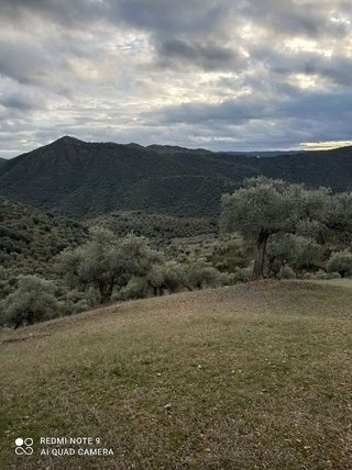 Casa rural en venta en Villanueva de Córdoba