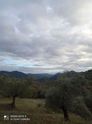 Casa rural en venta en Villanueva de Córdoba
