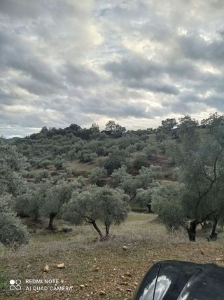 Casa rural en venta en Villanueva de Córdoba