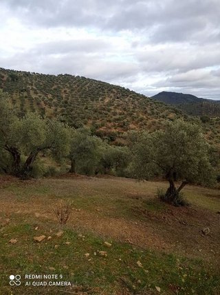 Casa rural en venta en Villanueva de Córdoba