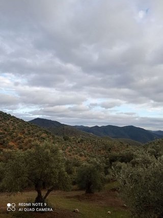 Casa rural en venta en Villanueva de Córdoba