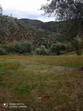 Casa rural en venta en Villanueva de Córdoba