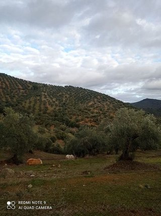 Casa rural en venta en Villanueva de Córdoba