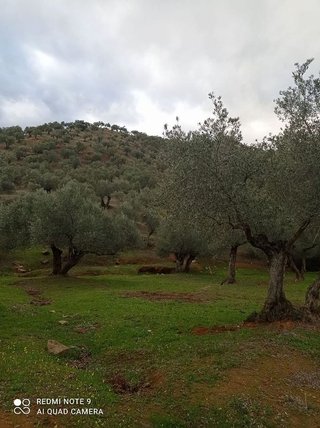 Casa rural en venta en Villanueva de Córdoba