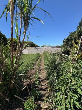 Casa rural en venta en Pelagatos - Pago del Humo en Chiclana de la Frontera